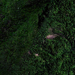 Satellite imagery of 1657 MAUNGAMANGERO, NZ