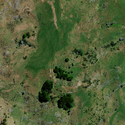 Satellite imagery of 8342, NZ