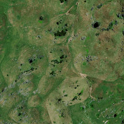 Satellite imagery of 8342, NZ
