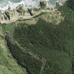 Satellite imagery of Cooks Landing Place 1769, NZ