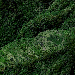 Satellite imagery of 1657 MAUNGAMANGERO, NZ