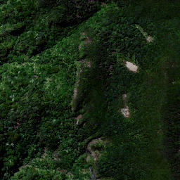 Satellite imagery of 1657 MAUNGAMANGERO, NZ