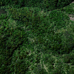 Satellite imagery of 1657 MAUNGAMANGERO, NZ