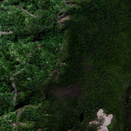 Satellite imagery of 1657 MAUNGAMANGERO, NZ
