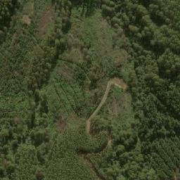 Satellite imagery of Mount Tassie, AU