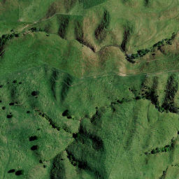 Satellite imagery of 8251, NZ