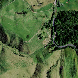 Satellite imagery of 8251, NZ
