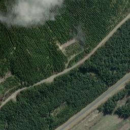 Satellite imagery of Pohaturoa, NZ