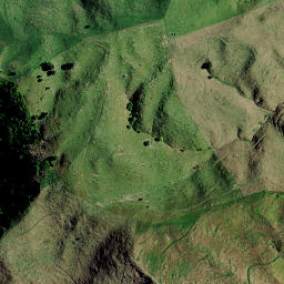 Satellite imagery of 8251, NZ