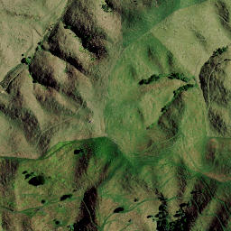 Satellite imagery of 8251, NZ