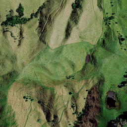 Satellite imagery of 8251, NZ