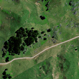 Satellite imagery of 8343, NZ
