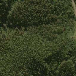 Satellite imagery of Mount Tassie, AU
