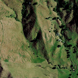 Satellite imagery of 8251, NZ