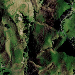 Satellite imagery of 8251, NZ