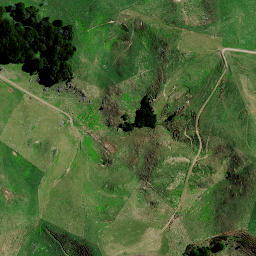 Satellite imagery of 8343, NZ