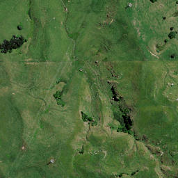 Satellite imagery of A MOTUROA, NZ