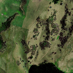 Satellite imagery of 8343, NZ