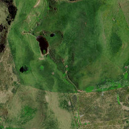 Satellite imagery of 8343, NZ