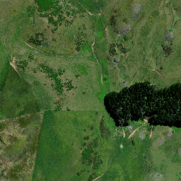 Satellite imagery of 8343, NZ