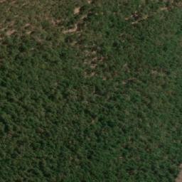 Satellite imagery of Cerro Guachicahue, CL