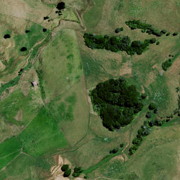 Satellite imagery of 8291, NZ