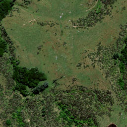 Satellite imagery of 8371 TIKIKARU NO 2, NZ