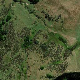 Satellite imagery of 8371 TIKIKARU NO 2, NZ