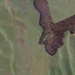 Satellite imagery of 1781 NO 2, NZ