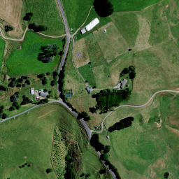Satellite imagery of 8291, NZ