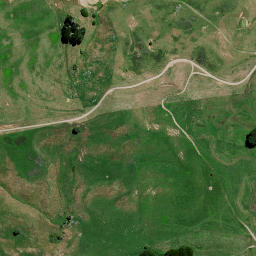 Satellite imagery of 8291, NZ