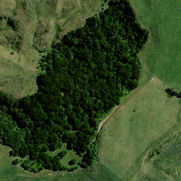 Satellite imagery of 1650 PAKAUMANU, NZ