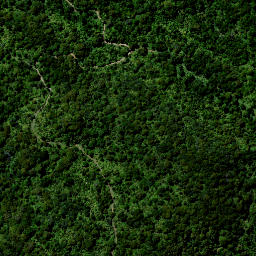 Satellite imagery of H (Whareorino SD), NZ