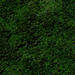 Satellite imagery of H (Whareorino SD), NZ