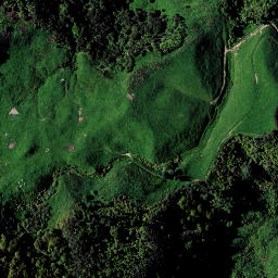 Satellite imagery of RAEPAHU RIDGE, NZ