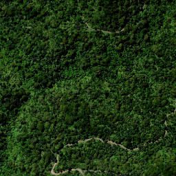 Satellite imagery of H (Whareorino SD), NZ