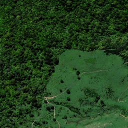 Satellite imagery of H (Whareorino SD), NZ