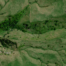 Satellite imagery of 8381, NZ