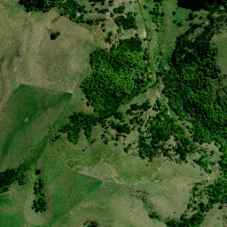 Satellite imagery of 8381, NZ
