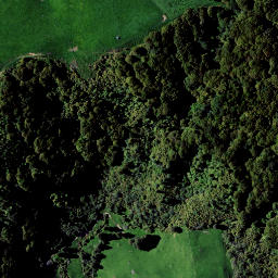 Satellite imagery of RAEPAHU RIDGE, NZ