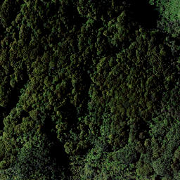 Satellite imagery of RAEPAHU RIDGE, NZ