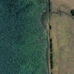 Satellite imagery of Cobb Bluff, AU