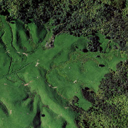 Satellite imagery of RAEPAHU RIDGE, NZ