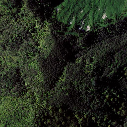 Satellite imagery of RAEPAHU RIDGE, NZ