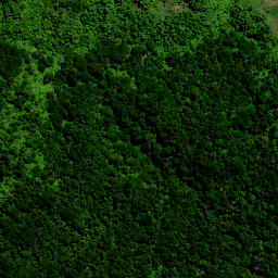 Satellite imagery of 8381, NZ