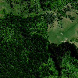 Satellite imagery of 8381, NZ