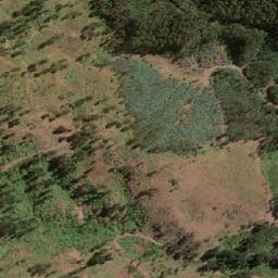 Satellite imagery of Cerro Nielol, CL