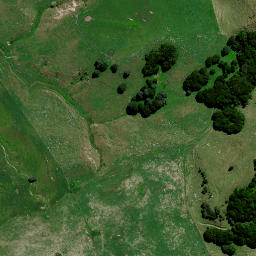 Satellite imagery of 8372, NZ