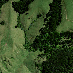 Satellite imagery of HAUPEEHI, NZ