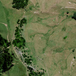 Satellite imagery of HAUPEEHI, NZ